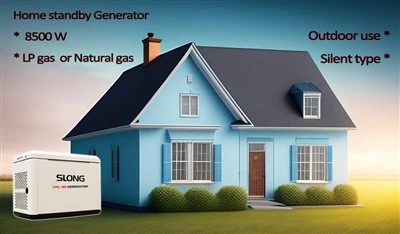 Study On Natural Gas Generator For Home Use